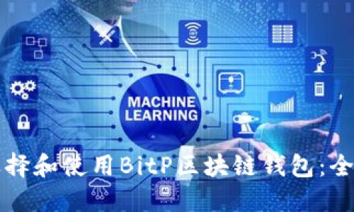 如何选择和使用BitP区块链钱包：全面指南