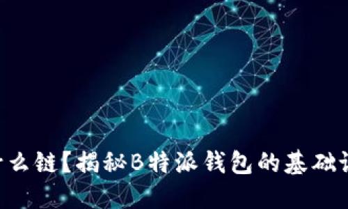 B特派钱包是什么链？揭秘B特派钱包的基础设施和使用场景