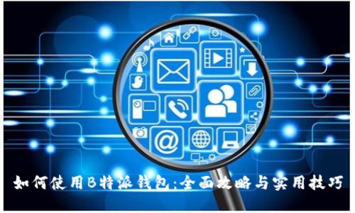 如何使用B特派钱包：全面攻略与实用技巧