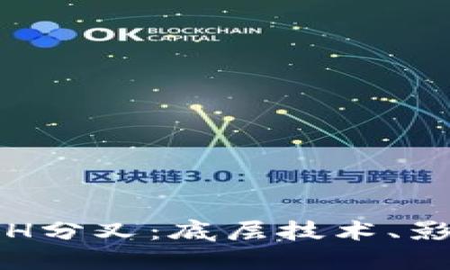 了解B特派BCH分叉：底层技术、影响与未来展望