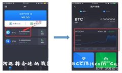 如何选择合适的钱包来存储BCC（Bitco